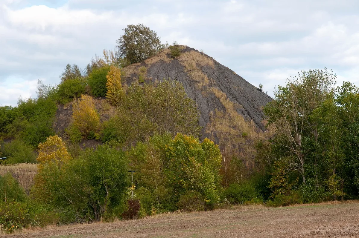 Lsa Plötz Halde