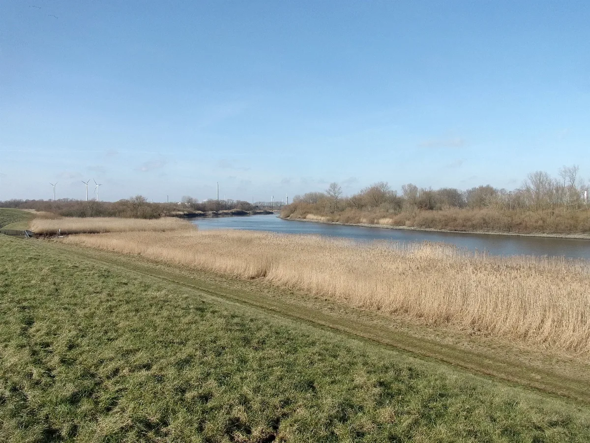 Lsg Tatenberg, Moorfleet, Nsg Auenlandschaft Obere Tideelbe Hamburg Bergedorf