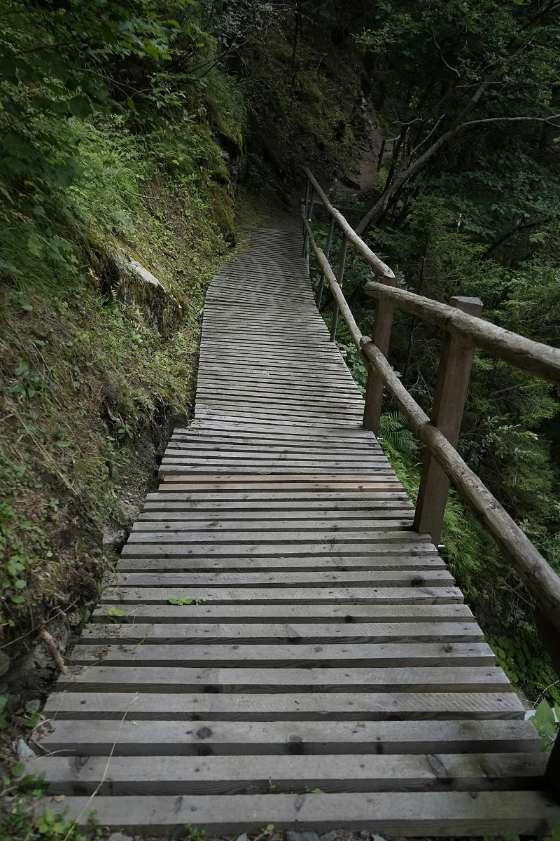 Natur In Der Rabischschlucht 20190819 010