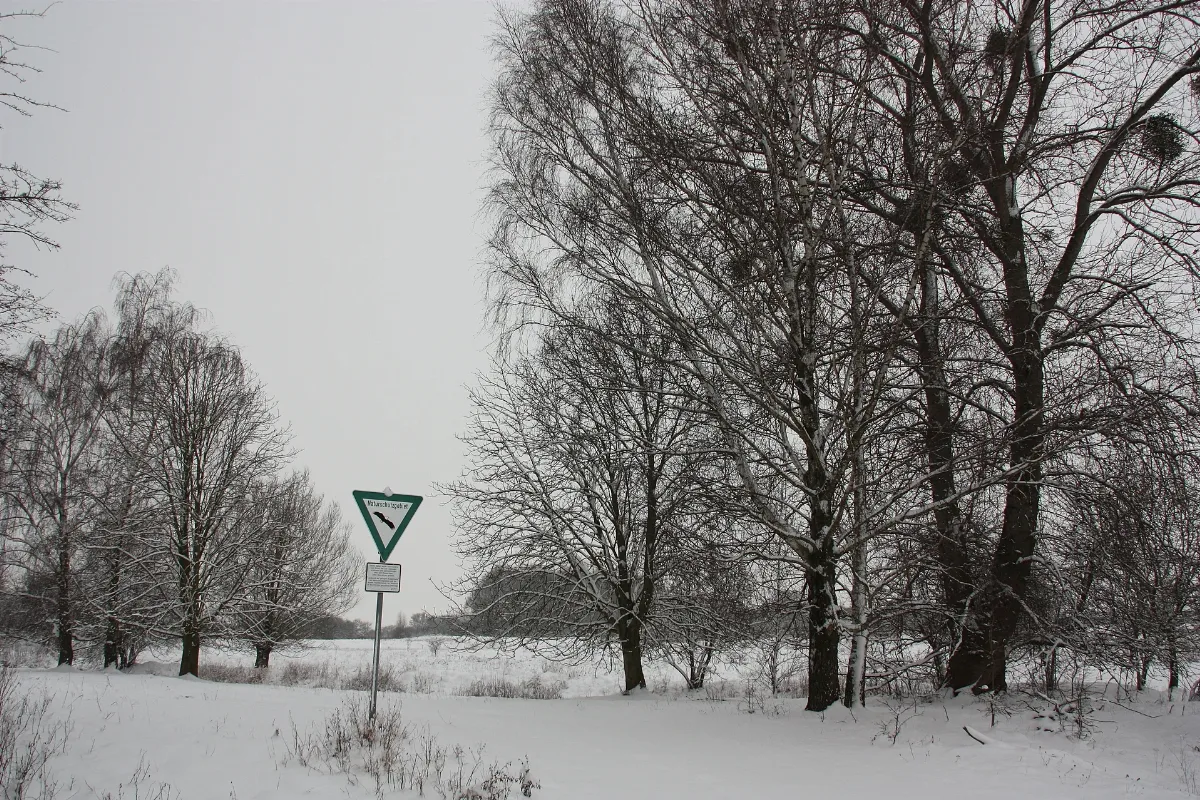 Naturschutzgebiet Ehemalige Klärteiche Bei Hattrop Img 1 0281