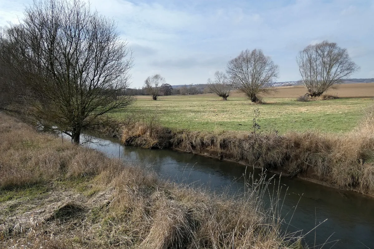 Naturschutzgebiet In Der Au Landkreis Mainz Bingen Nieder Olm