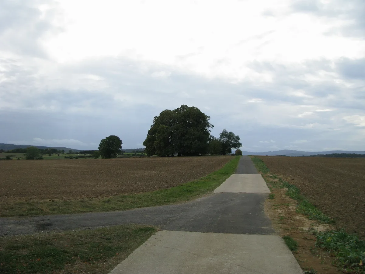 Nd Gö 150202, Ludwigs Lust, 1, Deiderode, Friedland, Landkreis Göttingen