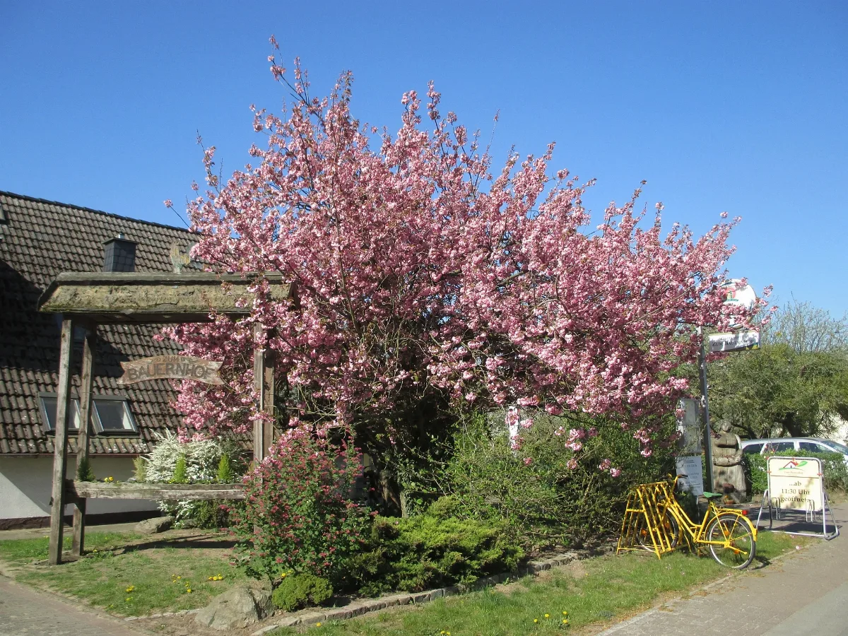 Neu Grambow