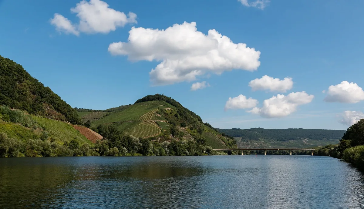 Neumagen Dhron, Mosel 2015 7555