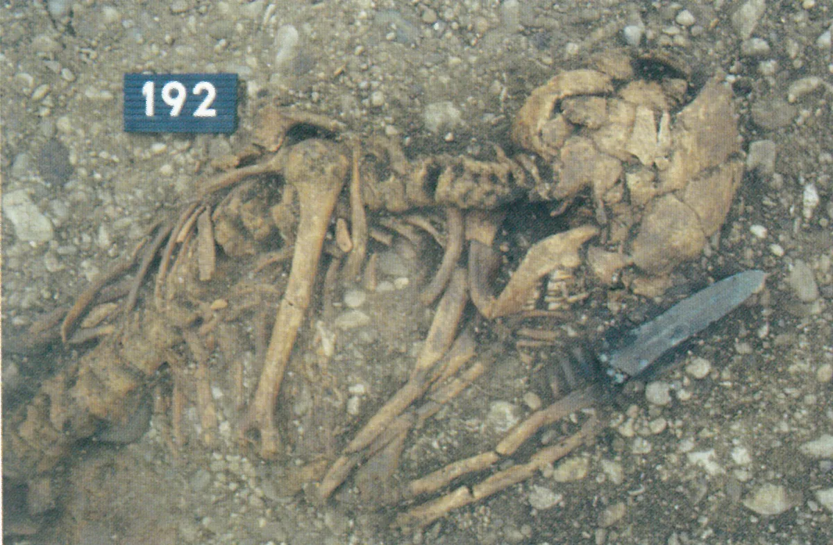Neumarkt An Der Ybbs Grab 192 Fö 39 2000
