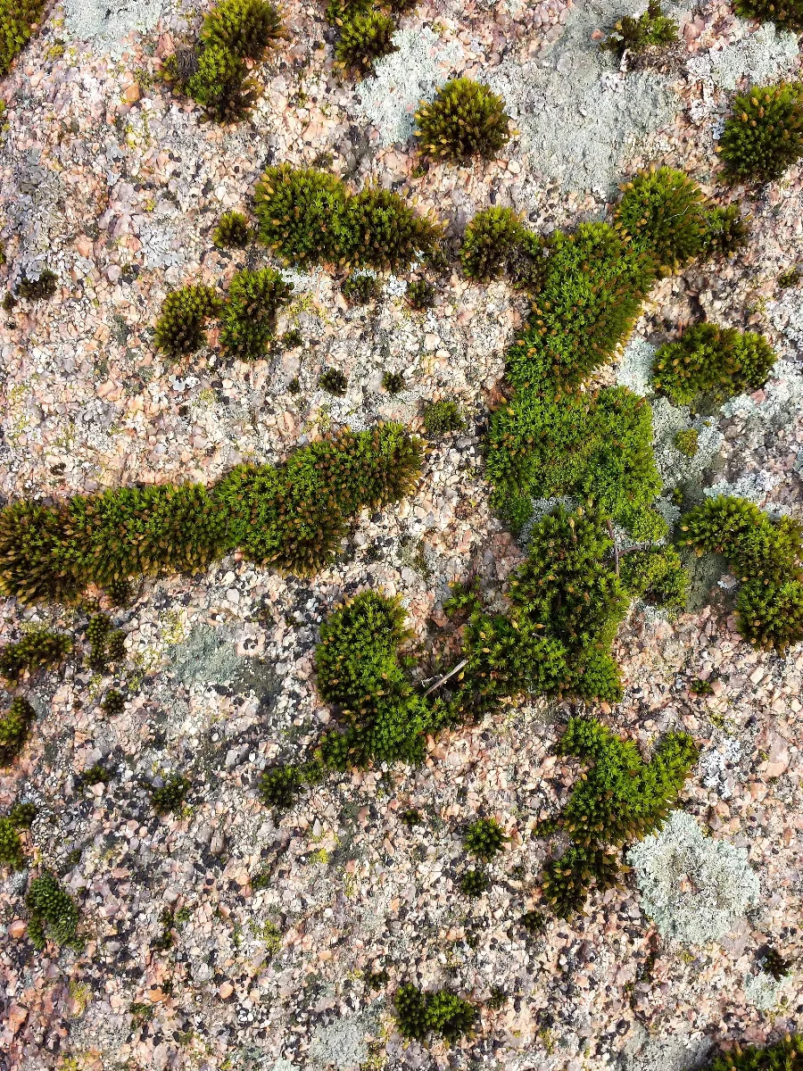 Nö Naturdenkmal Ko 008 Felsgebilde Sl7