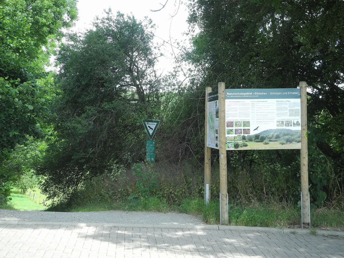 Nsg 1611004 Dönche 2020 07 02 B