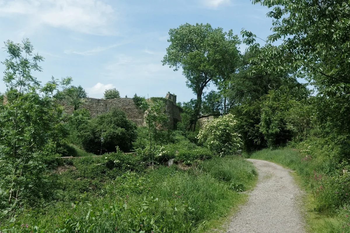 Nsg Wurmtal Weg Zur Burg Wilhelmstein