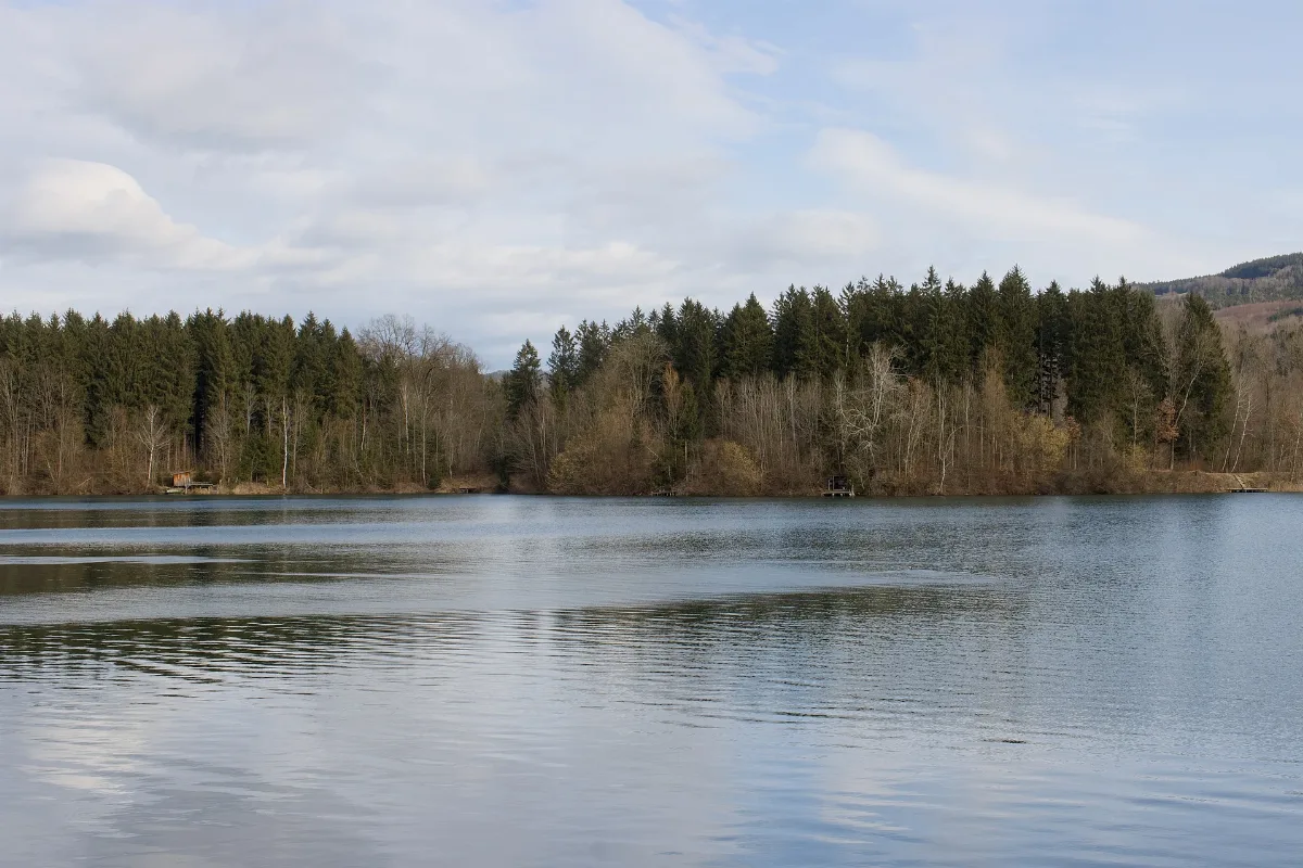 Nußdorf Am Haunsberg Weitwörther Au Badesee Weitwörth 2024 02 07 1
