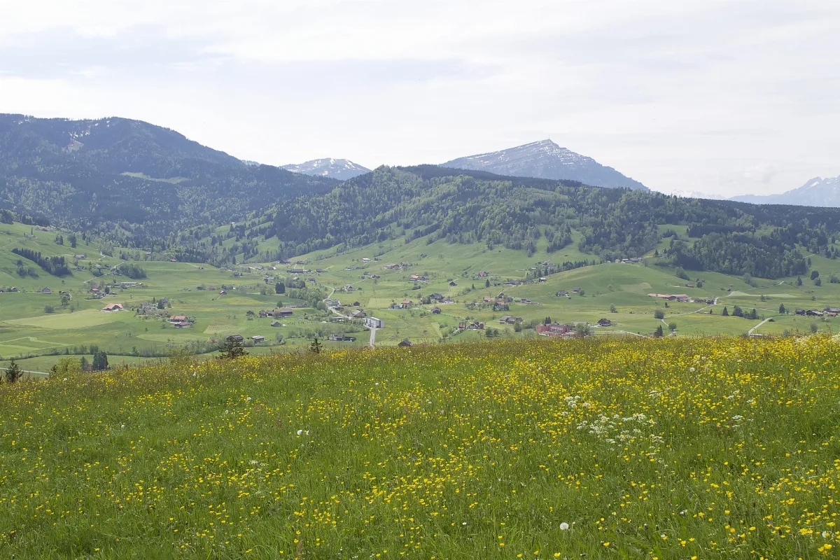Oberägeri Panoramio (17)