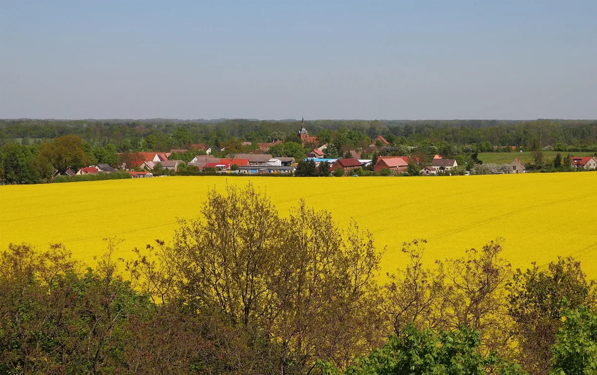 Opr Hakenberg Aussicht Vom Schlachtdenkmal
