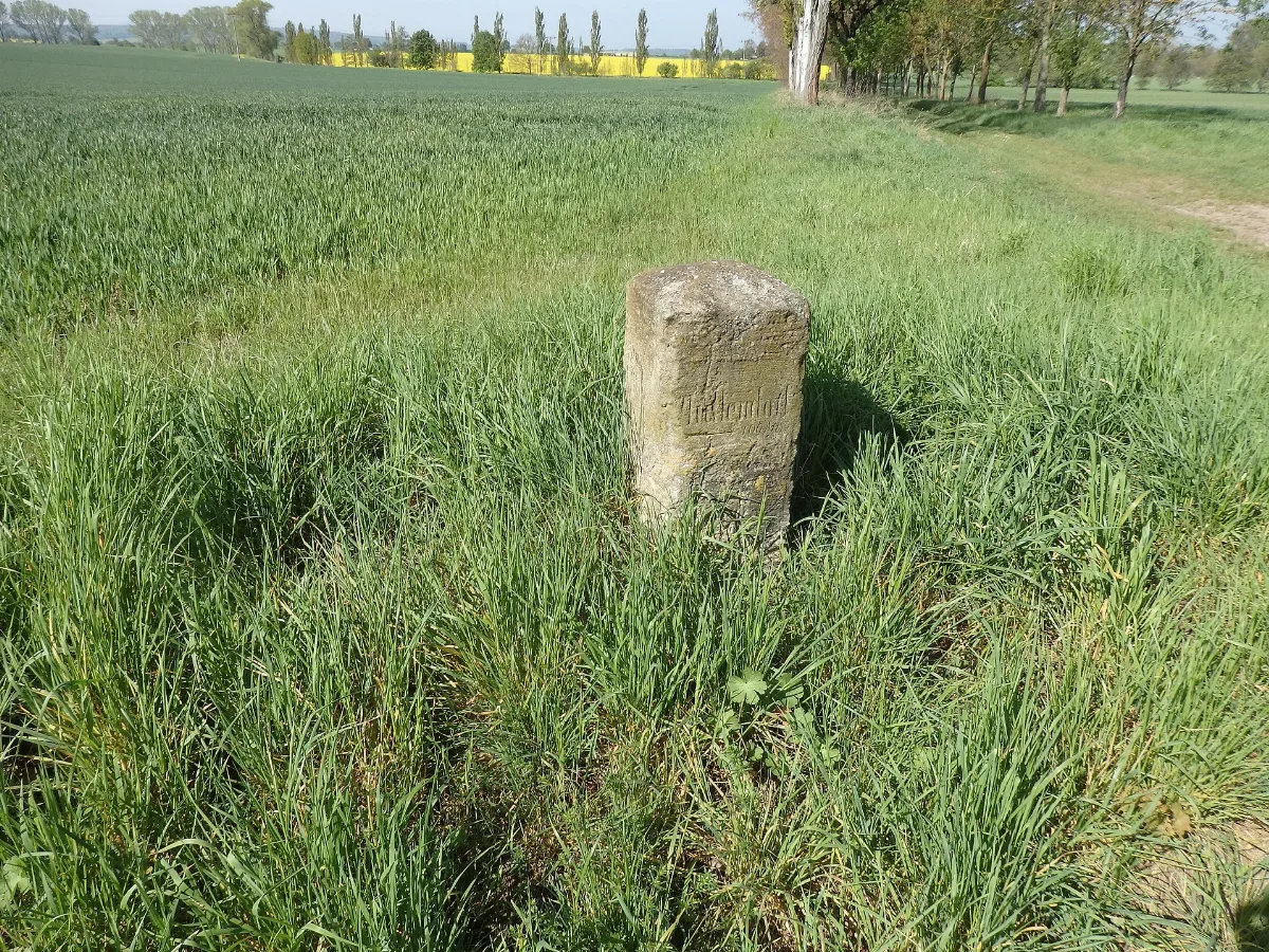 Pfullendorf (Nessetal), Wegweiserstein (2)