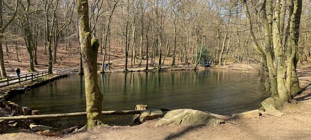 Reichenbach, Forellenweiher