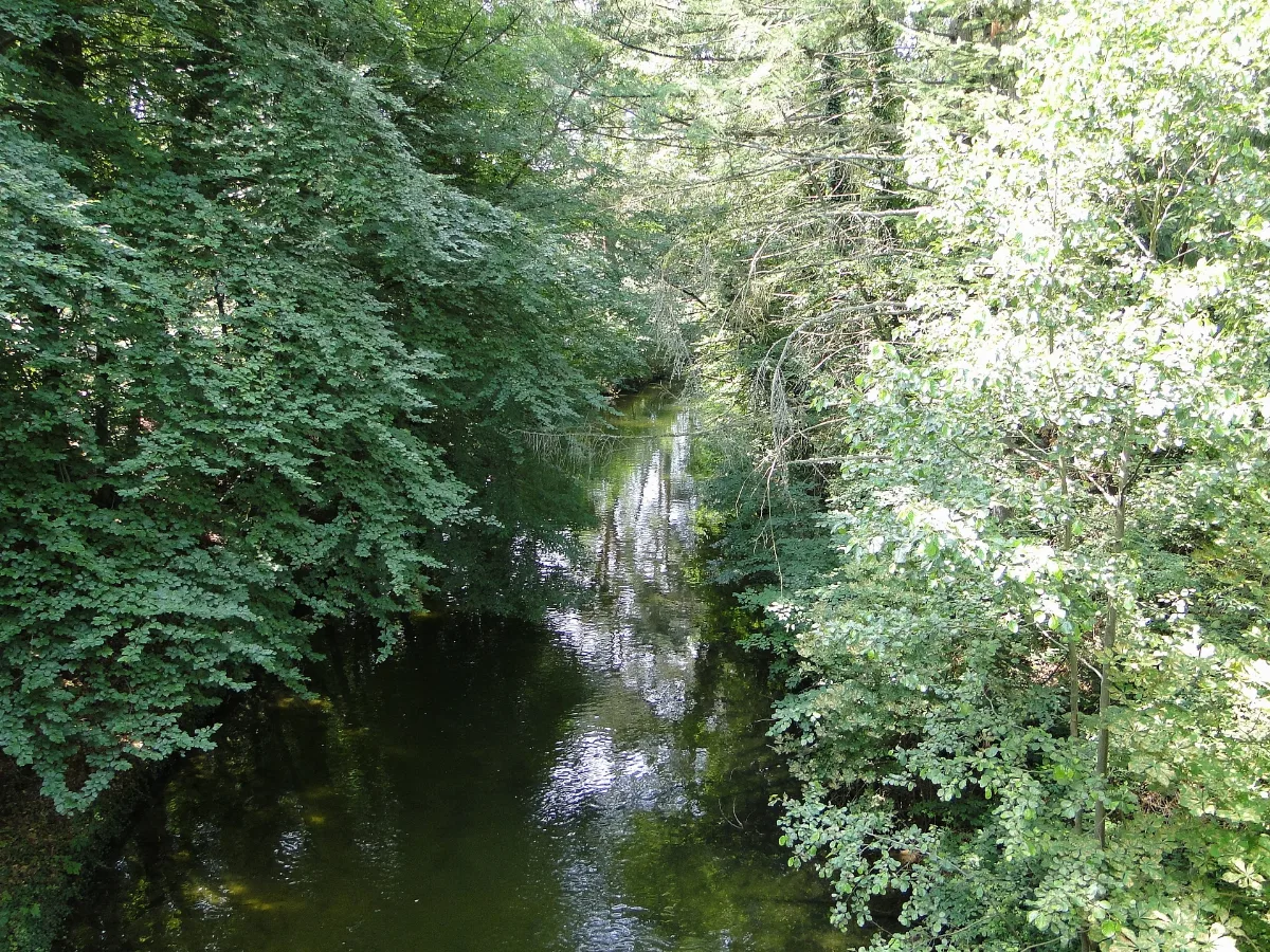 Salem Schaalseekanal 2011 07 16 028