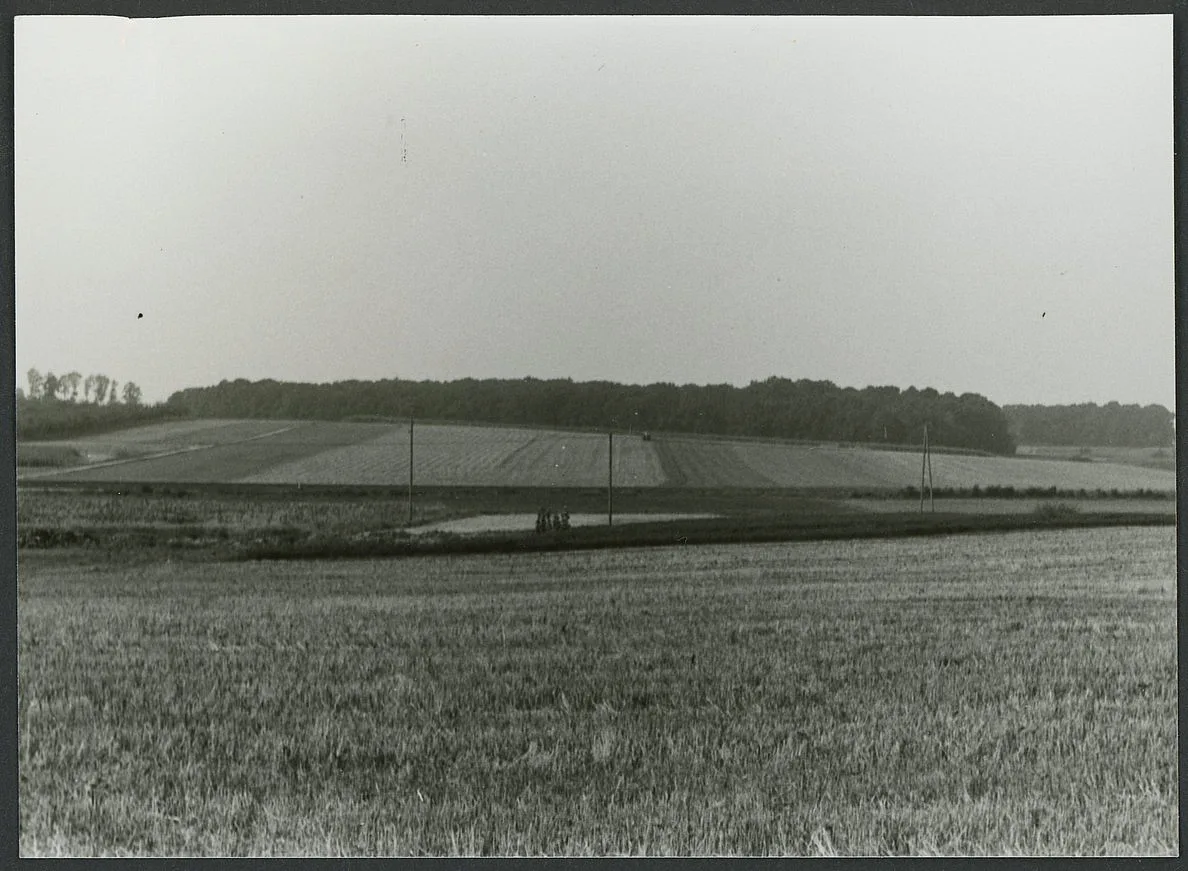 Scheppach Blick Von "Hasensprung" (Vorne) Über Bahnlinie (Mitte) Und "Dimser" Zum "Sauhölzle" Labw Hohenlohe Zentralarchiv Neuenstein Kra Sf 2 Sa 77.3.4