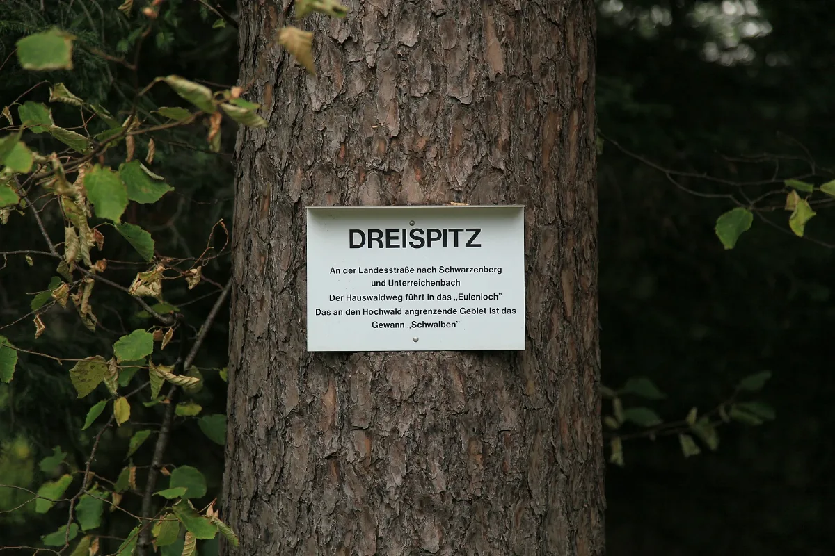 Schömberg Schwarzenberg Pforzheimer Straße 01 Ies