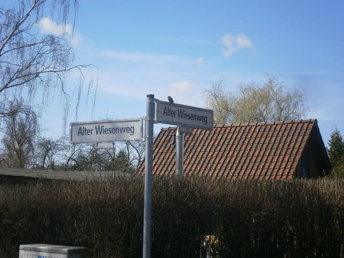Tegel1 (75)Alter Wiesenweg Re Li