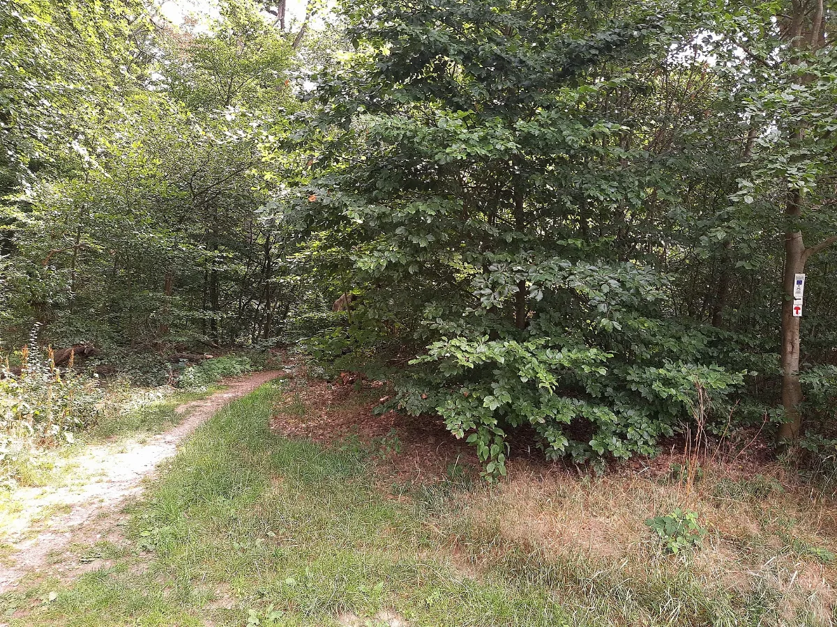 Trail Gebück, Hausen Vor Der Höhe