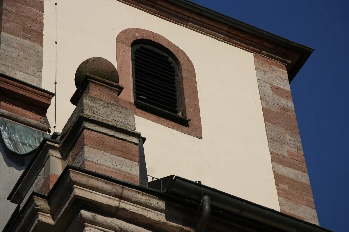 Turmfalken An Der Kirche Von Batten