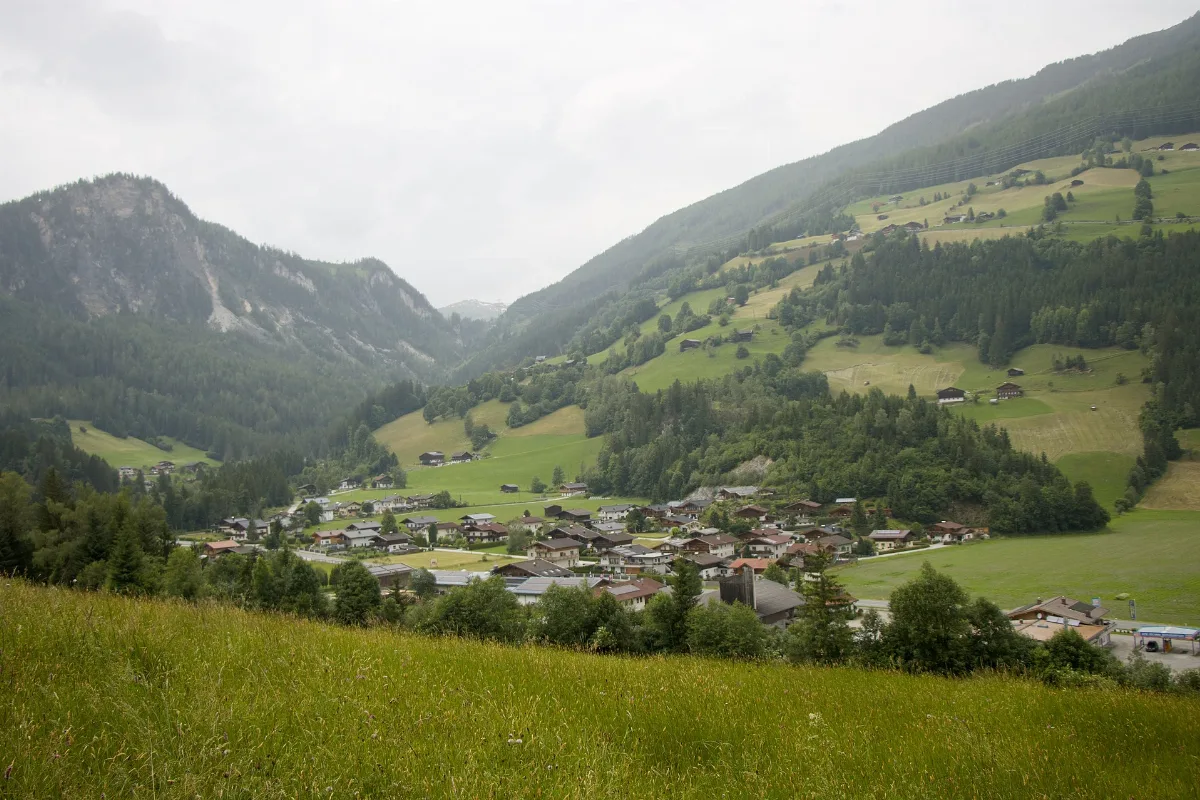 Wald Im Pinzgau Vorderkrimml Ansicht 2024 06 20 A