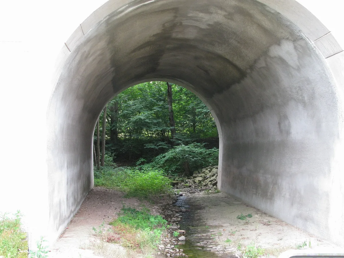 Wandersteinbach, 63, Bonaforth, Hann. Münden, Landkreis Göttingen