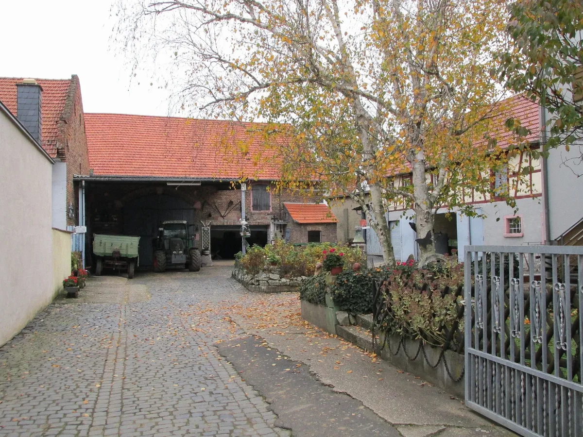 Wilhelmstraße 8, 1, Groß Karben, Karben, Wetteraukreis