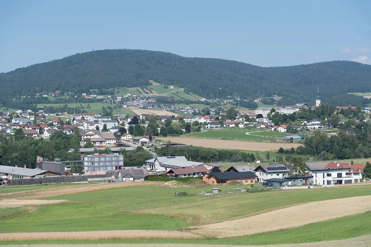 Wtb 20220722 Ulrichsberg Blick Nach Hintenberg 7692